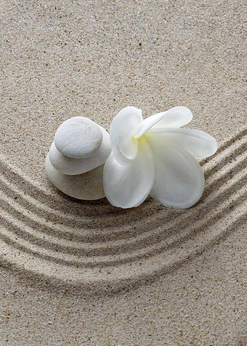 Contact Achamana - fleur de lotus