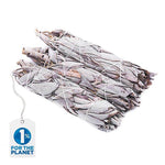 Apiana White Sage Set mit 3 - 5 oder 12 Smudges - Vignette | Achamana