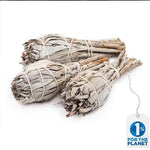 Weißer Salbei Räucherstab 3 - 5 oder 12 Fackeln - Vignette | Achamana